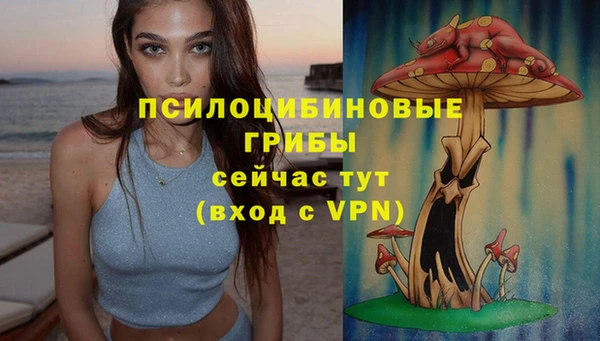 кристаллы Медвежьегорск