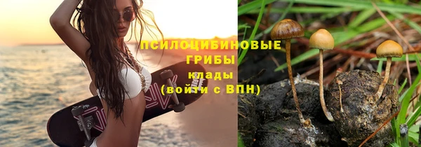 амф Медногорск