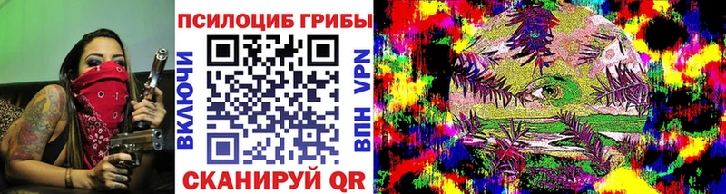 Купить  Стерлитамак  Псилоцибиновые грибы GOLDEN TEACHER 